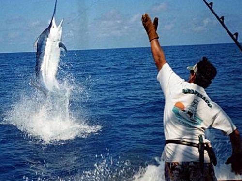 Sport Fishing